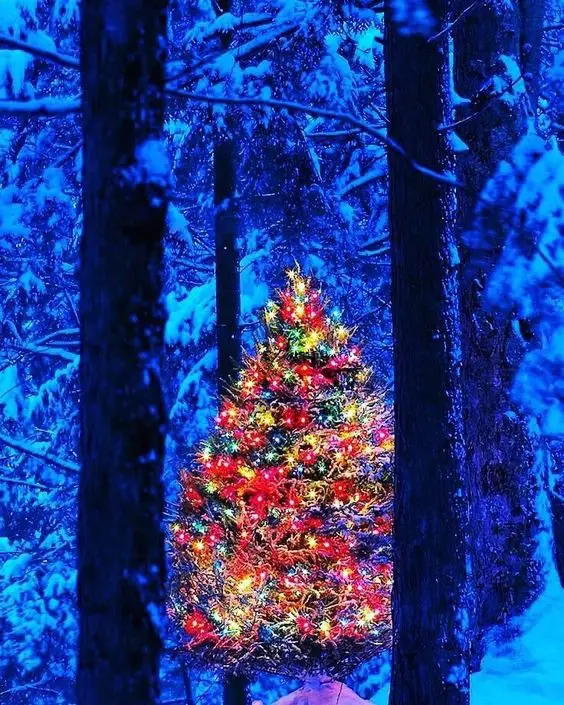 Unveiling 2023's Colorful Christmas Lights Tree Ideas: A Festive Fusion of Style and Joy