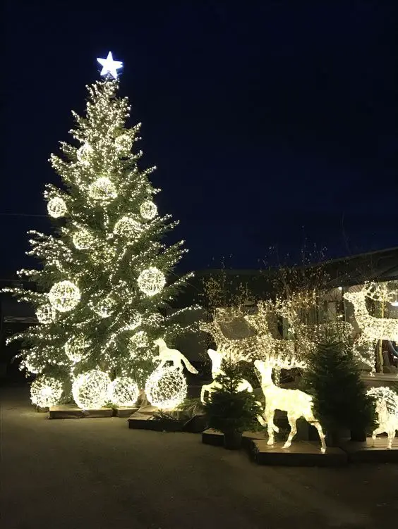 Enchant Your Home: Christmas Lights Outside 2023 | Ideas, Colors, and Tips for a Festive Wonderland