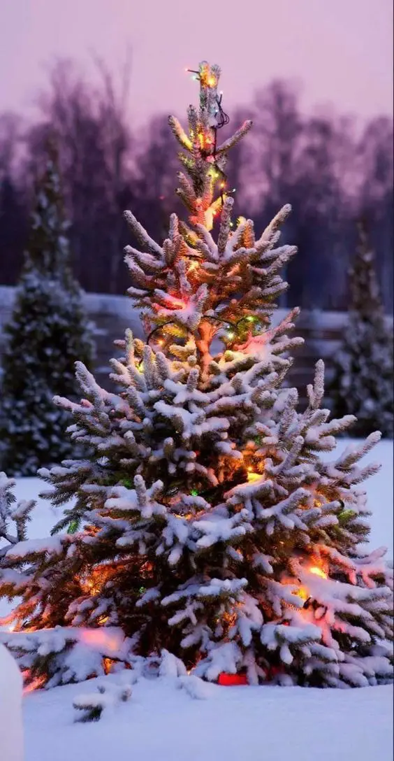2023 Christmas Tree Ideas: Spark Joy with Colored Lights, Multicolor ...