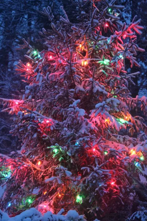 Unveiling 2023's Colorful Christmas Lights Tree Ideas: A Festive Fusion ...