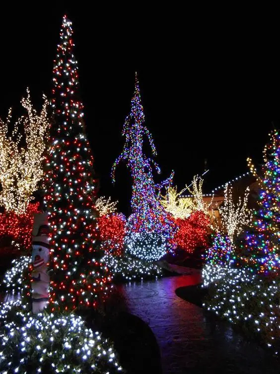 Enchant Your Home: Christmas Lights Outside 2023 | Ideas, Colors, and Tips for a Festive Wonderland