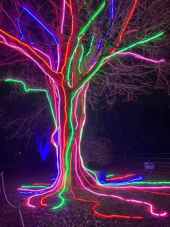 Enchant Your Home: Christmas Lights Outside 2023 | Ideas, Colors, and Tips for a Festive Wonderland