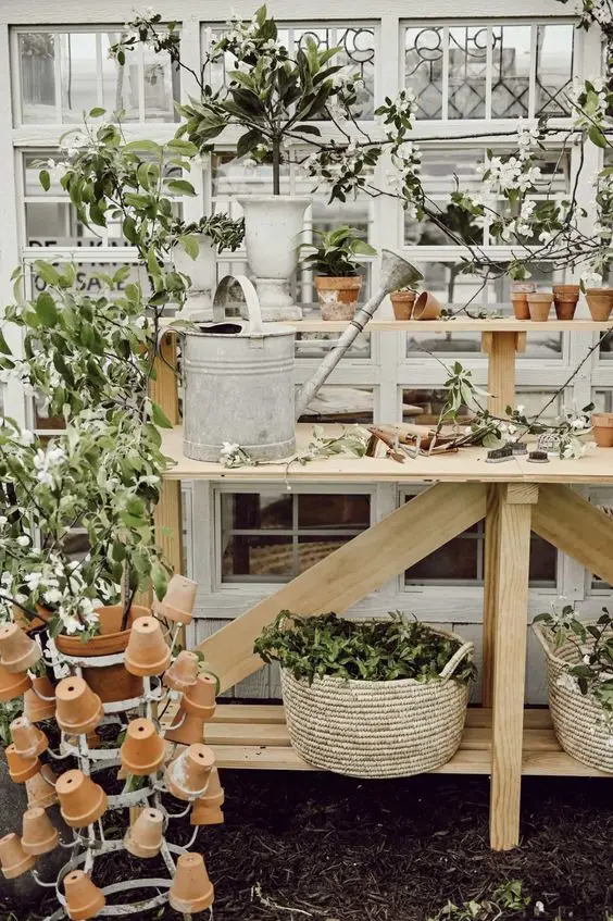 Spring Shed Decor 2024: Rustic Charm Meets Blooming Elegance