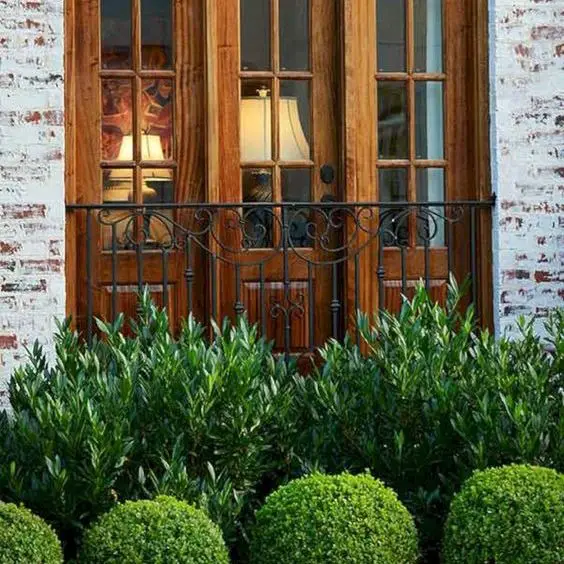 Mastering Home Elegance: Designing with Low-Maintenance Bushes for Farmhouse Charm and Curb Appeal