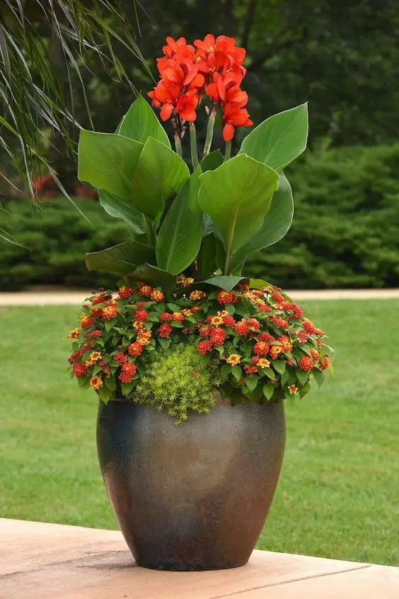 Unique Homemade Garden Decor Ideas for Creative Outdoor Spaces