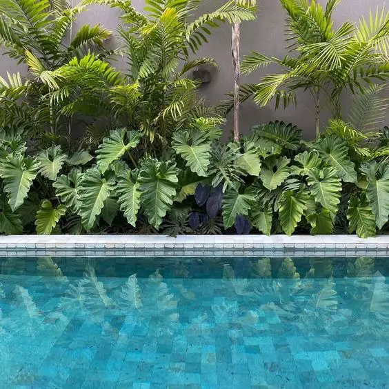 2024 Spring Pool Decor: Chic & Fresh Outdoor Styling Trends