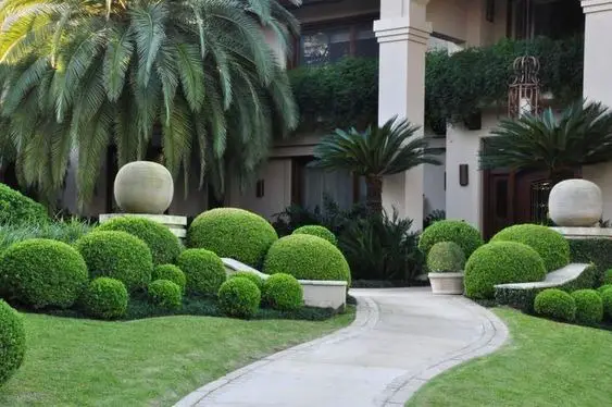 Mastering Home Elegance: Designing with Low-Maintenance Bushes for Farmhouse Charm and Curb Appeal