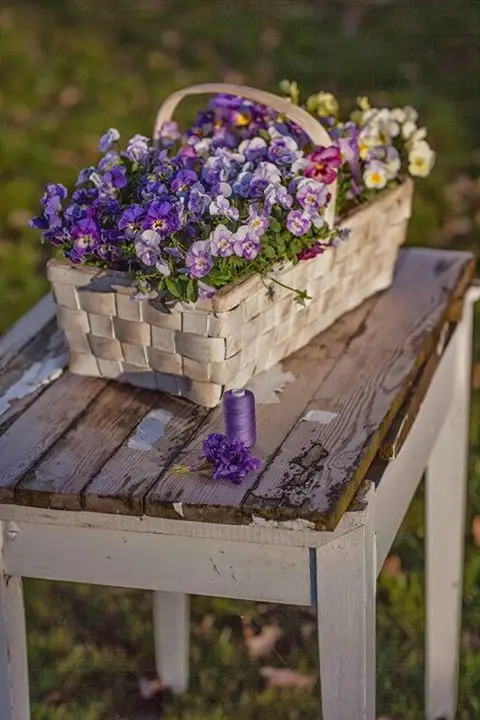 2024 Rustic Spring Decor: Fresh Trends for Home & Wedding