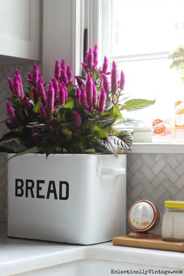 Simple Spring Home Decor Ideas Refresh Your Space