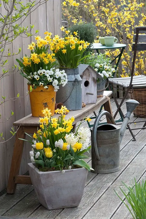 Fresh Spring Front Yard Decor Ideas for a Chic Boho Loo