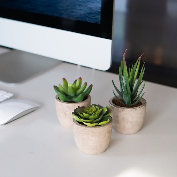 Fresh Spring Desk Decor 2024: Revitalize Your Workspace