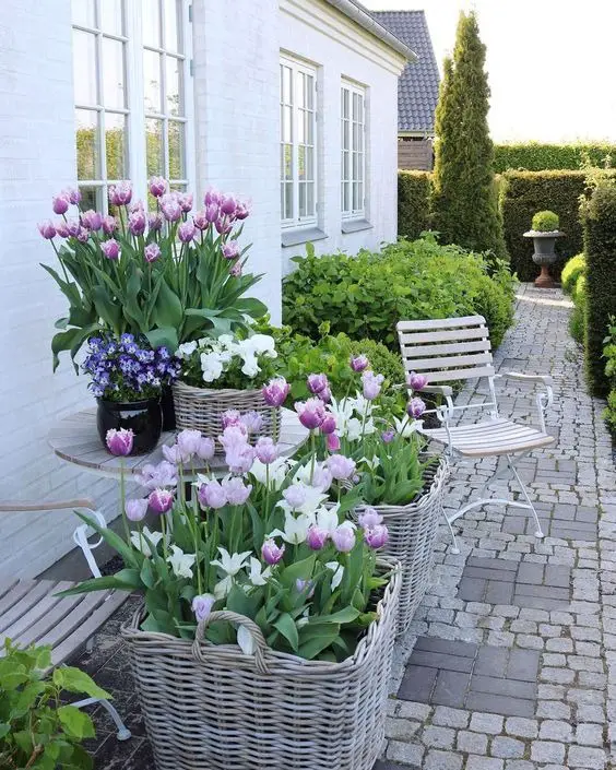 Fresh Spring Front Yard Decor Ideas for a Chic Boho Loo