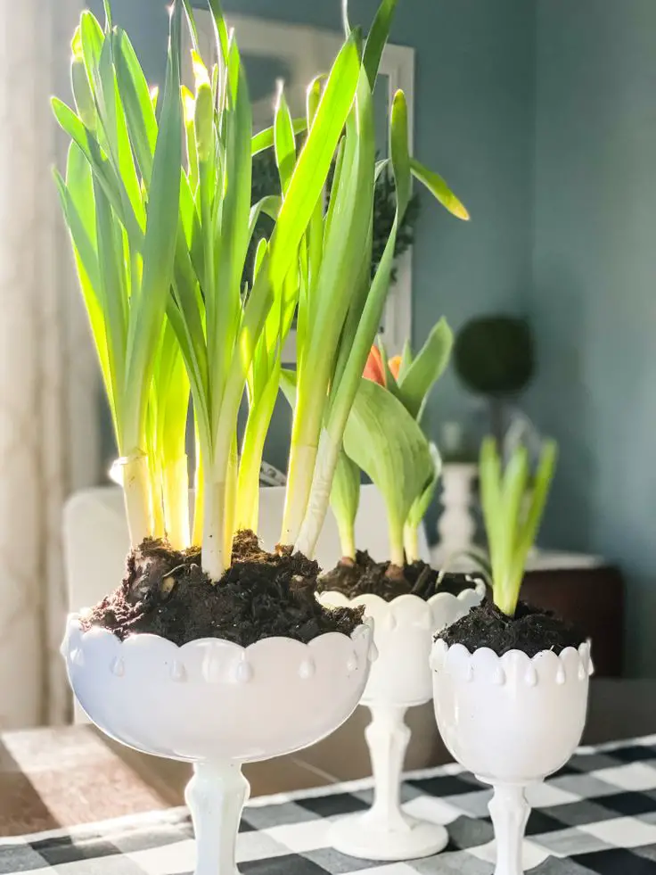 Simple Spring Home Decor Ideas: Refresh Your Space