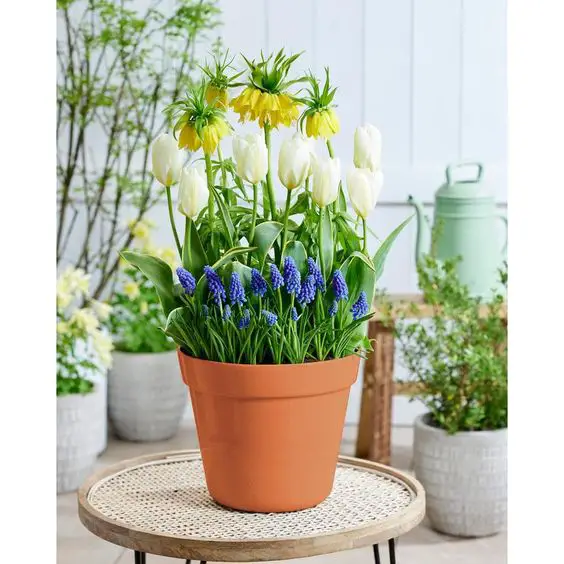 2024 Spring Patio Decor: Fresh Ideas for Chic Outdoor Spaces