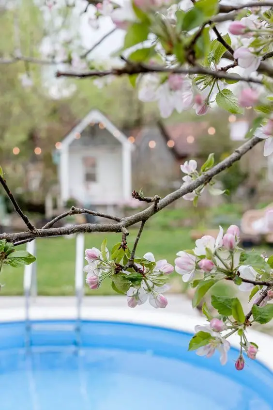 2024 Spring Pool Decor: Chic & Fresh Outdoor Styling Trends