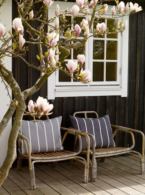 Spring Shed Decor 2024: Rustic Charm Meets Blooming Elegance