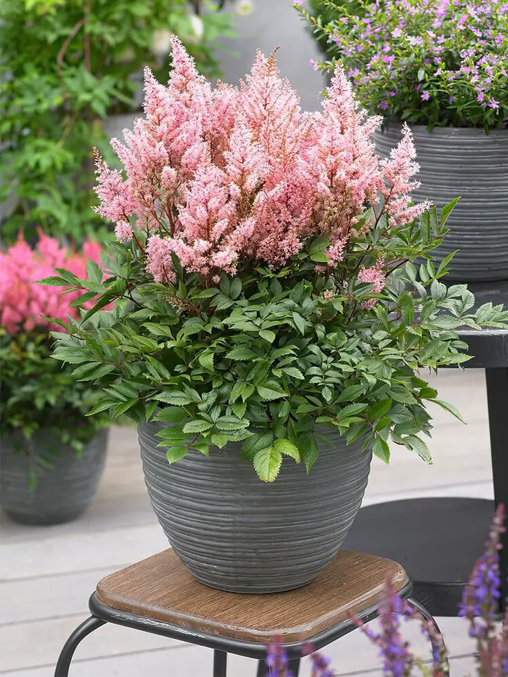 Fresh Spring Front Yard Decor Ideas for a Chic Boho Loo