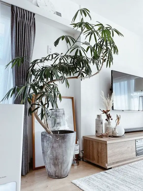 2024 Palm Springs Decor: Modern Living Room Ideas & Style