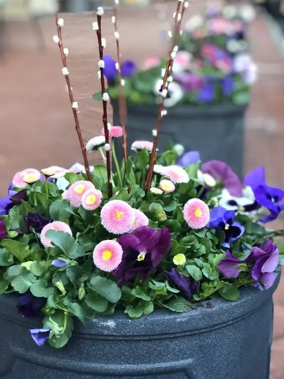 Fresh Spring Front Yard Decor Ideas for a Chic Boho Loo