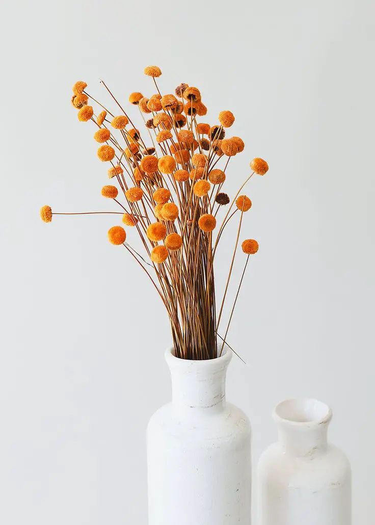 Simple Spring Home Decor Ideas: Refresh Your Space