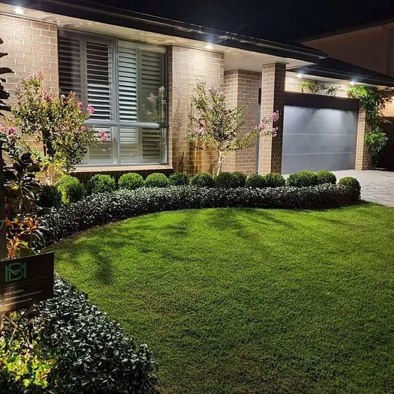 Mastering Home Elegance: Designing with Low-Maintenance Bushes for Farmhouse Charm and Curb Appeal