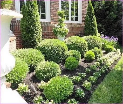 Mastering Home Elegance: Designing with Low-Maintenance Bushes for Farmhouse Charm and Curb Appeal