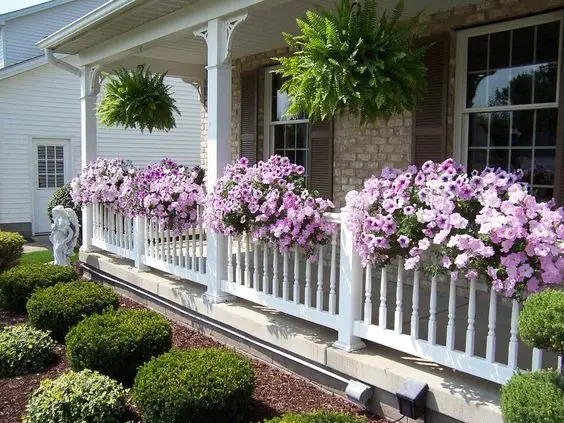 Porch Landscaping Flowers 2024: Elevate Your Home's Charm with Expert Ideas for Front Yard, Beds, and Small Spaces