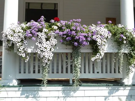Porch Landscaping Flowers 2024: Elevate Your Home's Charm with Expert Ideas for Front Yard, Beds, and Small Spaces