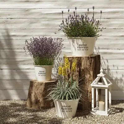 2024's Top Spring Barn Decor Trends for Rustic Elegance