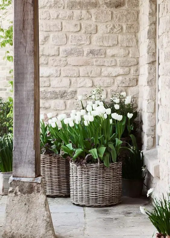 2024 Spring Porch Decor: Fresh Farmhouse & Modern Outdoor Ideas