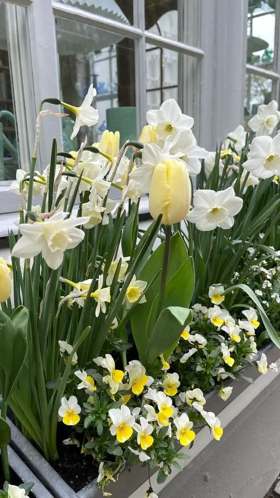 Spring Shed Decor 2024: Rustic Charm Meets Blooming Elegance