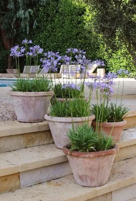 Fresh Spring Front Yard Decor Ideas for a Chic Boho Loo