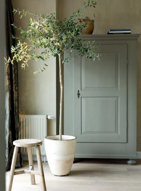 Embrace 2024 Spring: Farmhouse Decor Tips for a Fresh Home Look