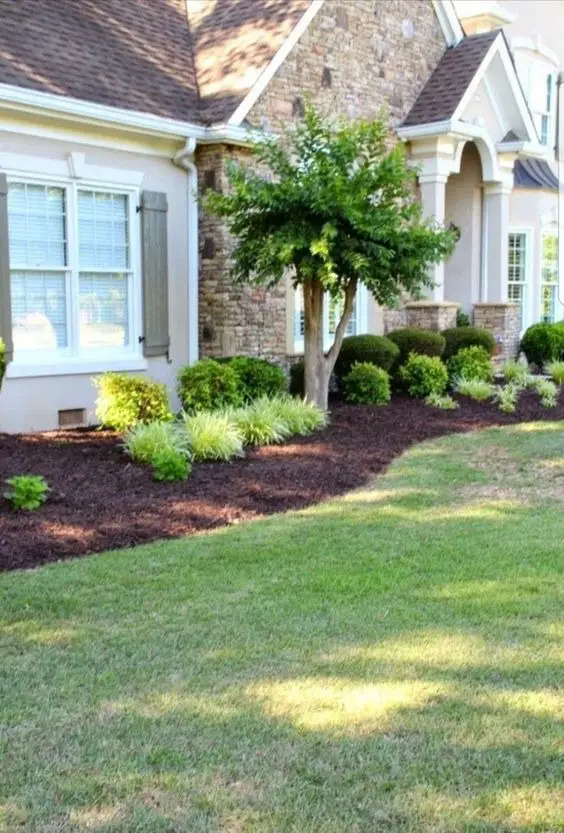 Mastering Home Elegance: Designing with Low-Maintenance Bushes for Farmhouse Charm and Curb Appeal
