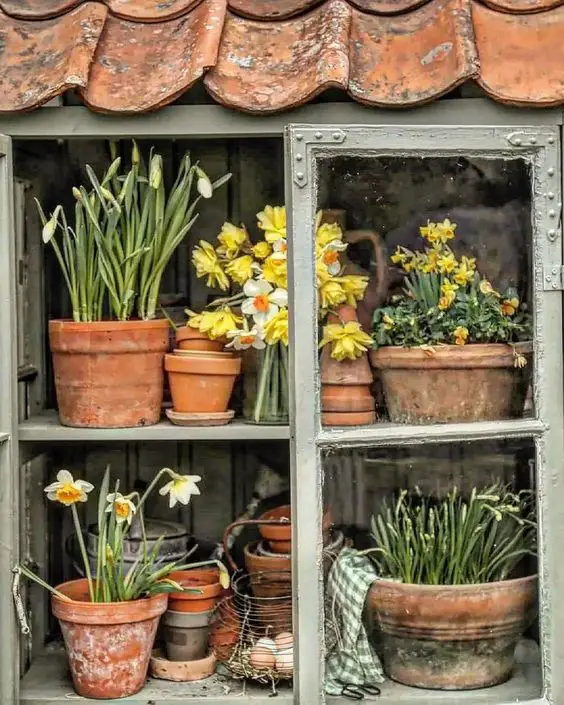 Spring Shed Decor 2024: Rustic Charm Meets Blooming Elegance