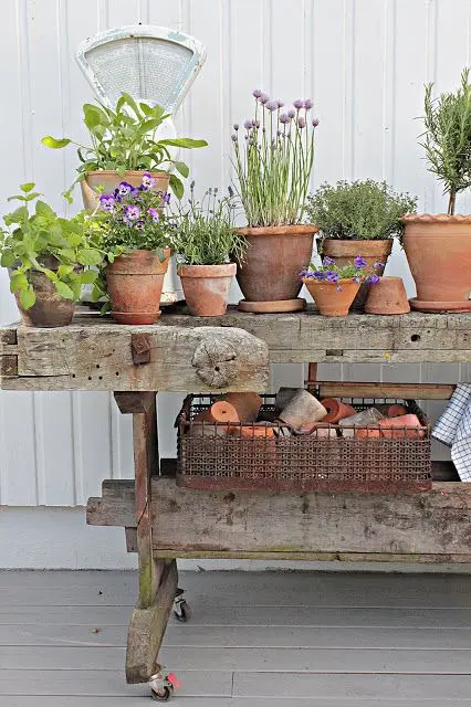 Spring Shed Decor 2024: Rustic Charm Meets Blooming Elegance