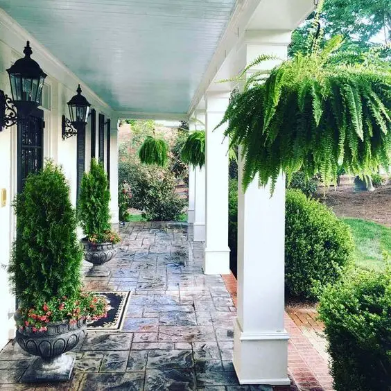 Elevate Your Home with Porch Landscaping 2024: Ideas for Front Yard, Curb Appeal, and Modern Farmhouse Charm