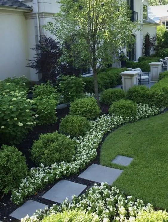 Mastering Home Elegance: Designing with Low-Maintenance Bushes for Farmhouse Charm and Curb Appeal