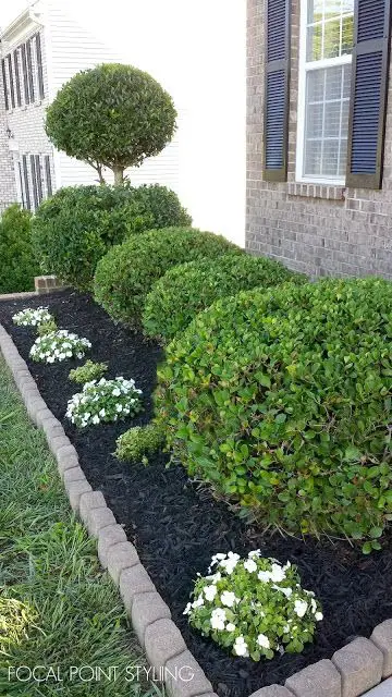 Mastering Home Elegance: Designing with Low-Maintenance Bushes for Farmhouse Charm and Curb Appeal