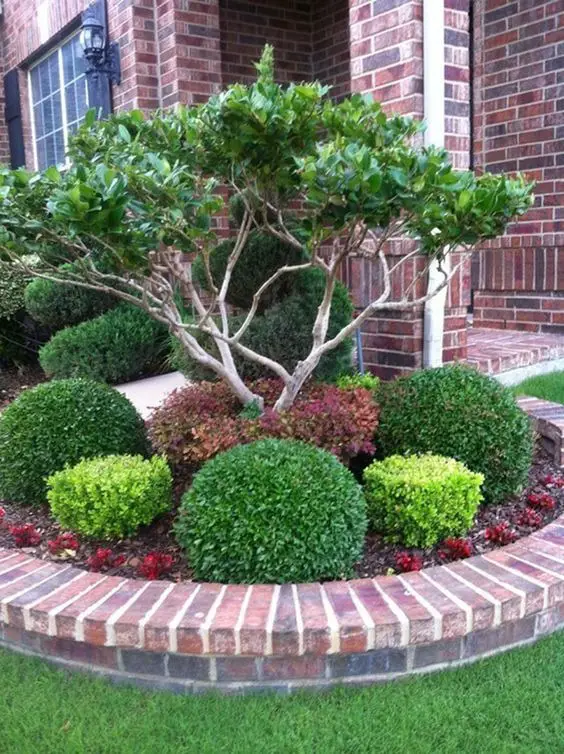 Mastering Home Elegance: Designing with Low-Maintenance Bushes for Farmhouse Charm and Curb Appeal