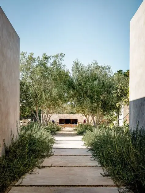 Unveiling Back Porch Beauty: Professional Landscape Design 2024 Ideas