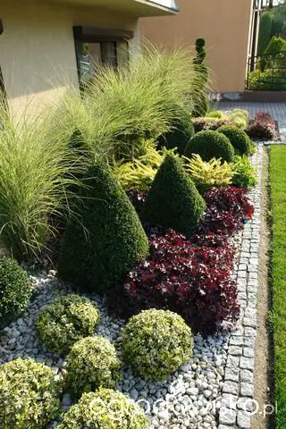 Mastering Home Elegance: Designing with Low-Maintenance Bushes for Farmhouse Charm and Curb Appeal