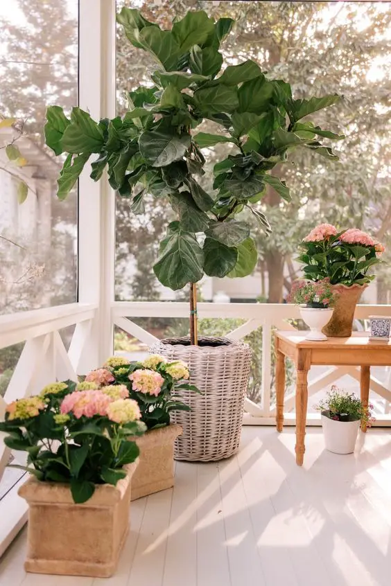 2024 Spring Deck Decor Ideas: Transform Your Outdoor Space