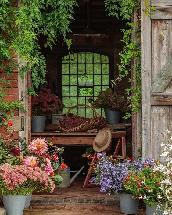 Spring Shed Decor 2024: Rustic Charm Meets Blooming Elegance