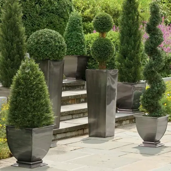 Mastering Home Elegance: Designing with Low-Maintenance Bushes for Farmhouse Charm and Curb Appeal