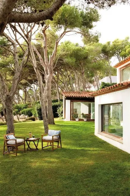 Unveiling Back Porch Beauty: Professional Landscape Design 2024 Ideas