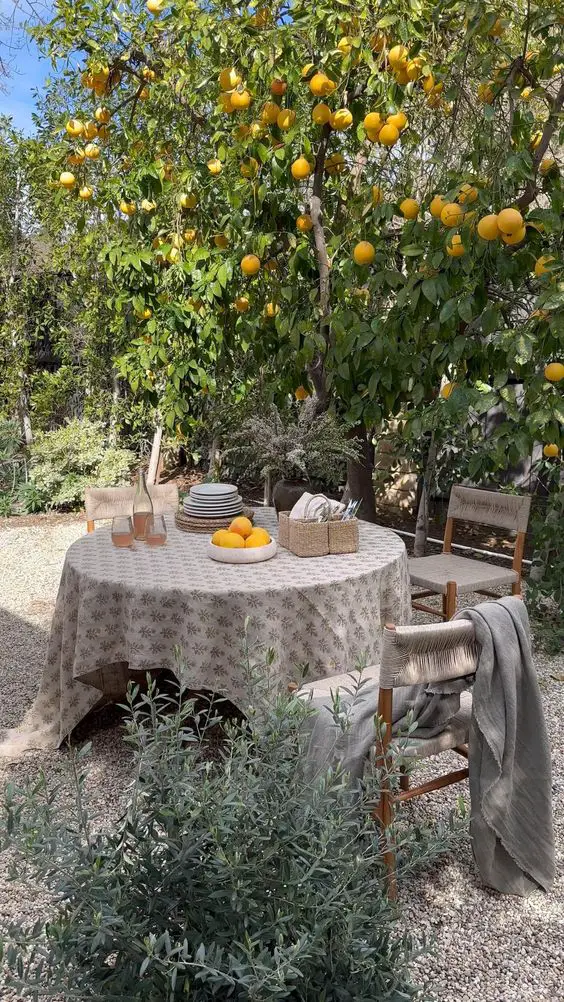 Stylish Outdoor Lounge & BBQ Areas for Chic Alfresco Living - Design Inspirations