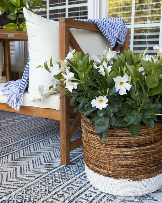 Creative Summer Outdoor Decor Ideas for Every Space
