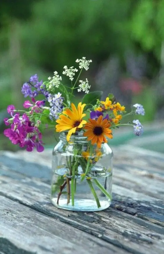 Summer Flower Gardens: Lush Landscapes & Vibrant Pots