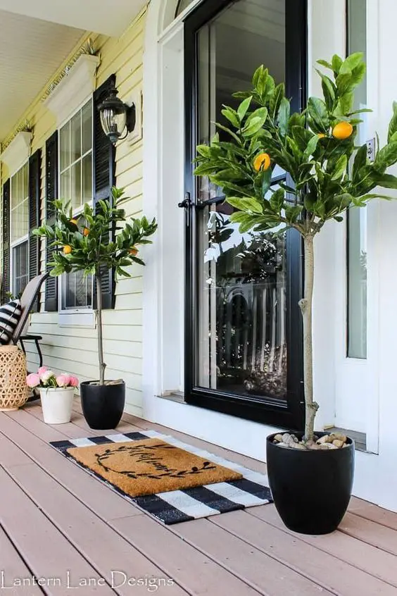 Summer Porch Decor: Fresh Ideas for Welcoming Spaces | Vibrant & Rustic